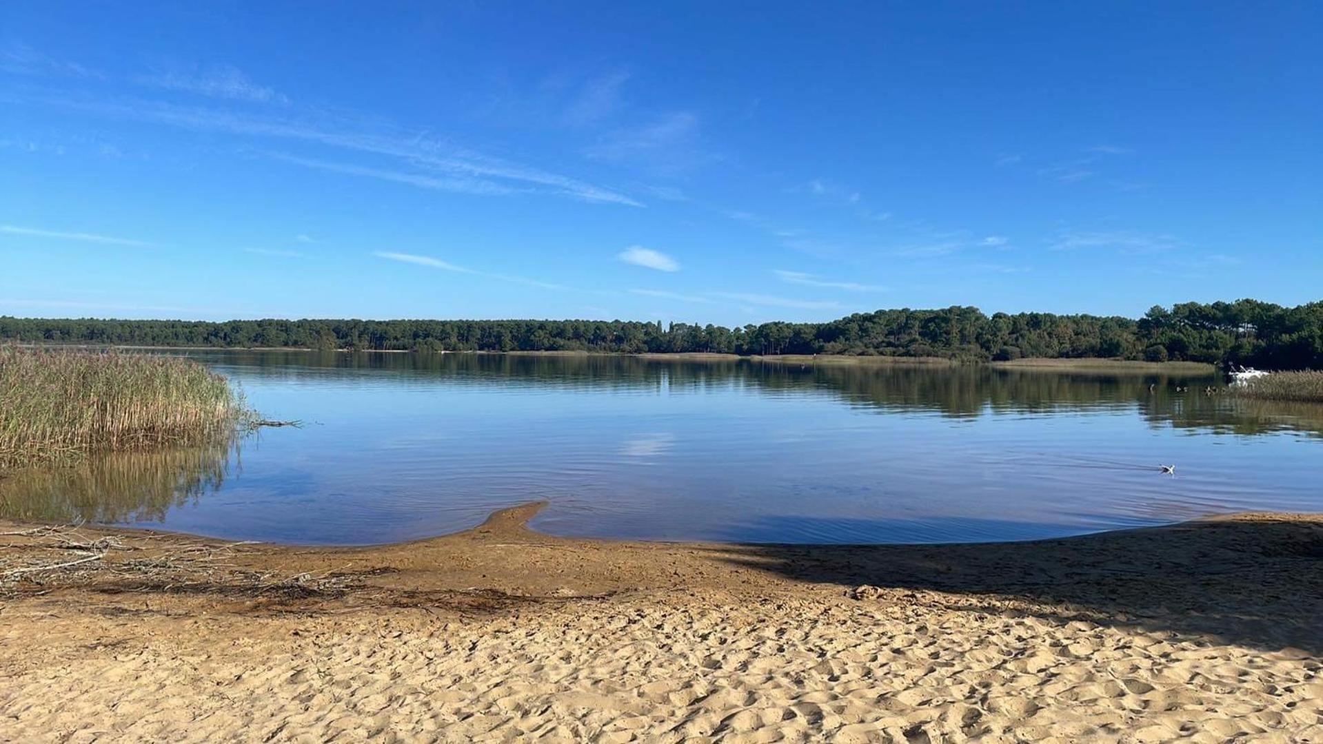 Appartement T2 Proche Lac Sanguinet Dış mekan fotoğraf