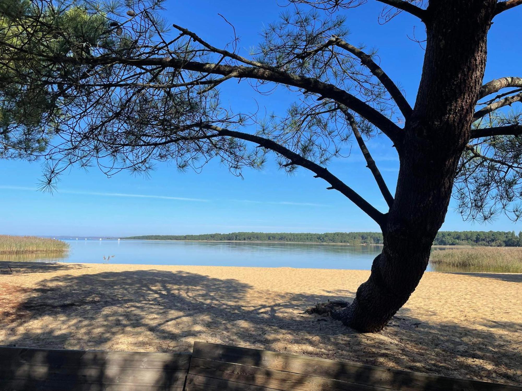 Appartement T2 Proche Lac Sanguinet Dış mekan fotoğraf