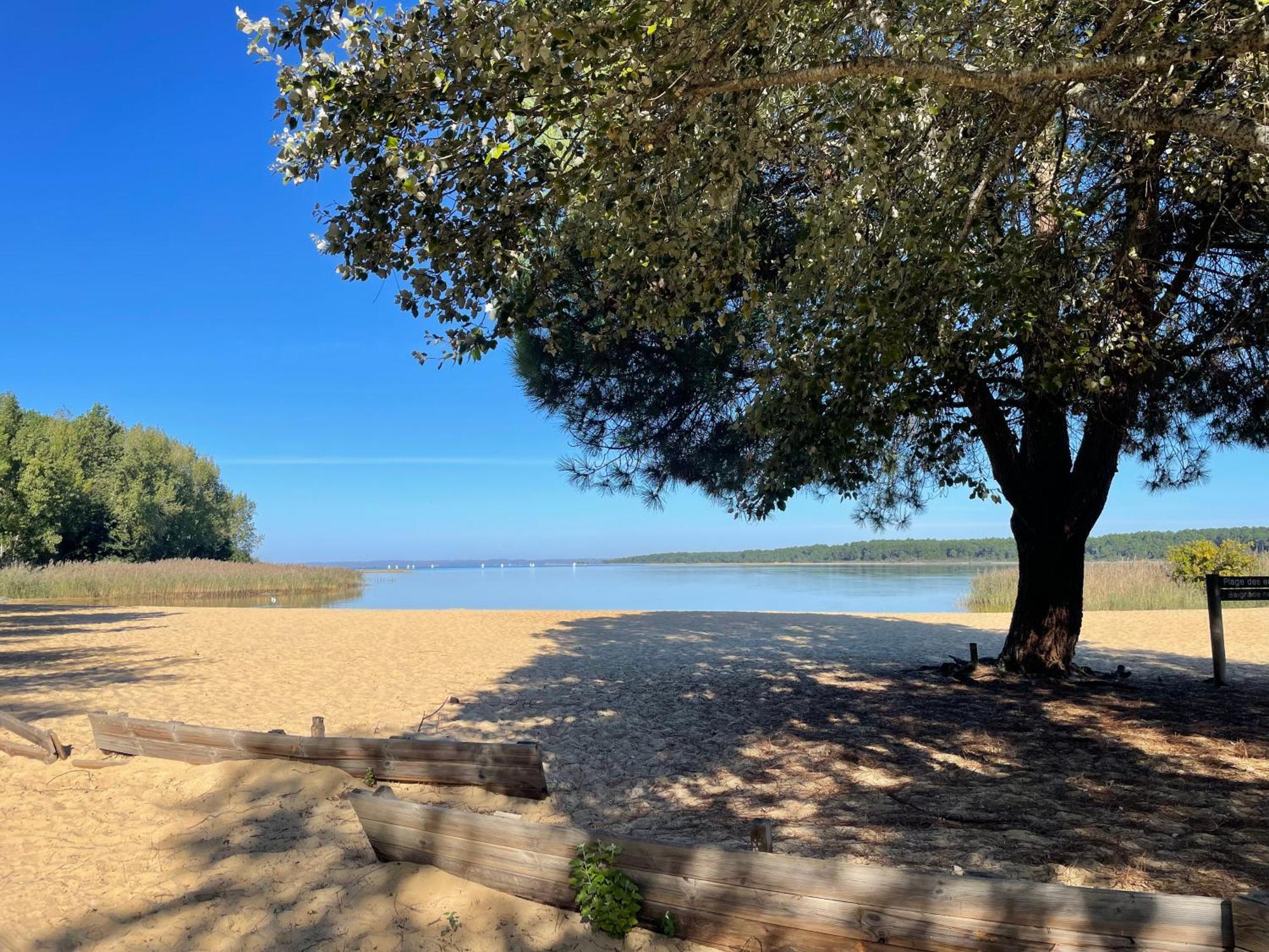 Appartement T2 Proche Lac Sanguinet Dış mekan fotoğraf